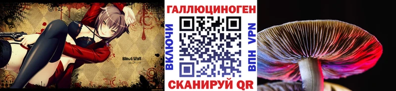Псилоцибиновые грибы Magic Shrooms  Венёв 